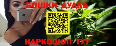 крисы Заводоуковск