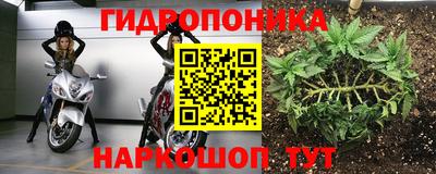 стаф Жуковский