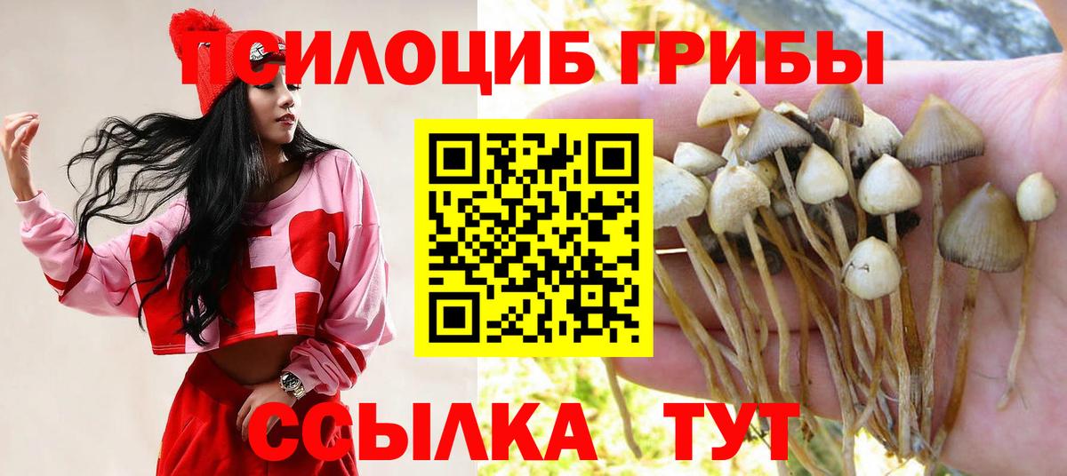 Псилоцибиновые грибы мухоморы Ленинск-Кузнецкий