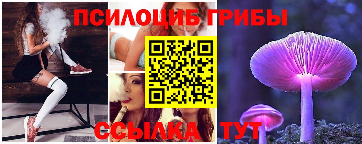 Ленинск-Кузнецкий  Псилоцибиновые грибы мицелий  Псилоцибиновые грибы мухоморы  Вход с VPN 
